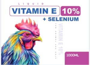 WhatsApp Image 2025-12-22 at 2.36.24 PM (3)