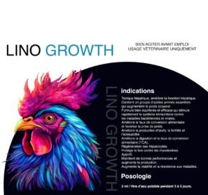 lino_growth3